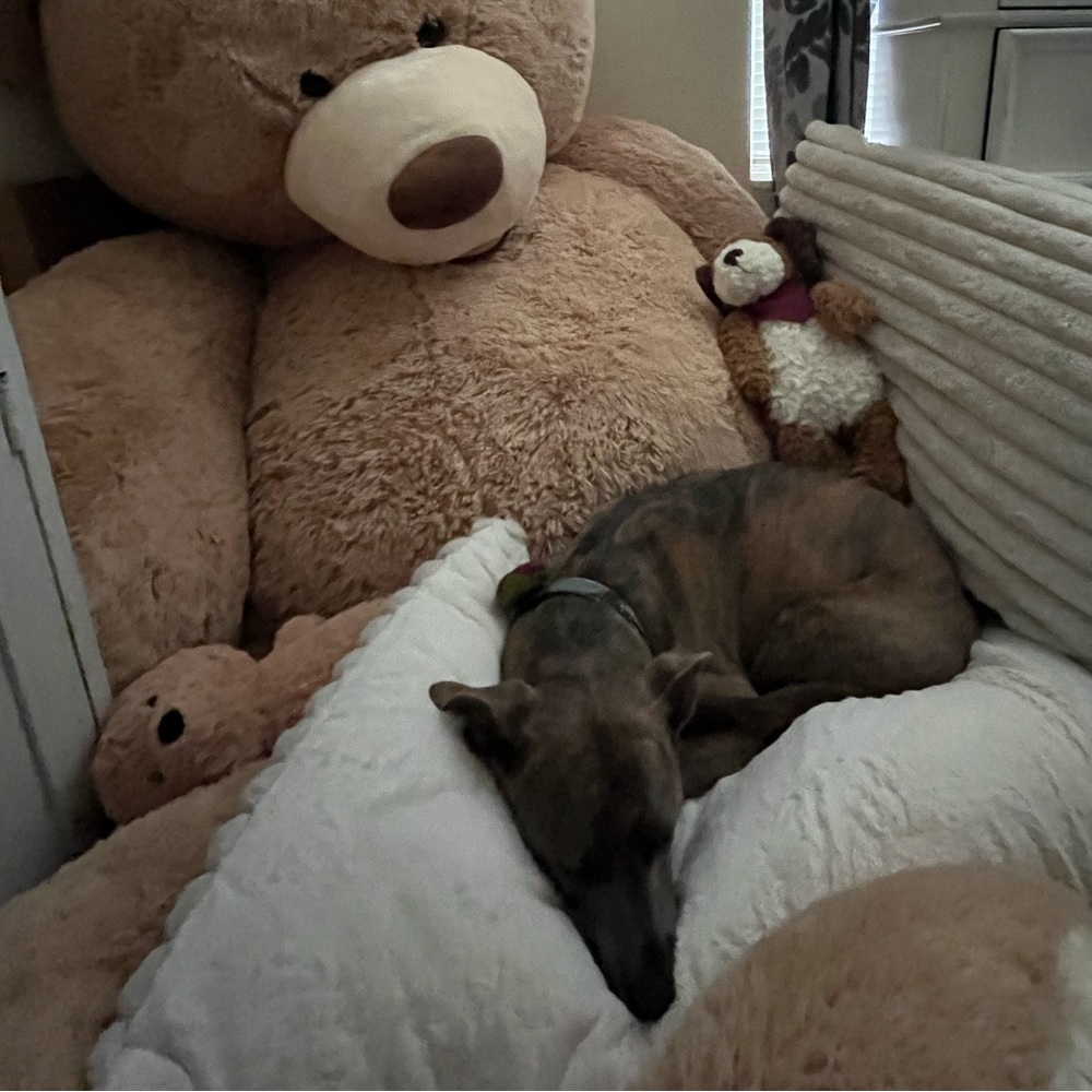 Meet your Posher, Valerie